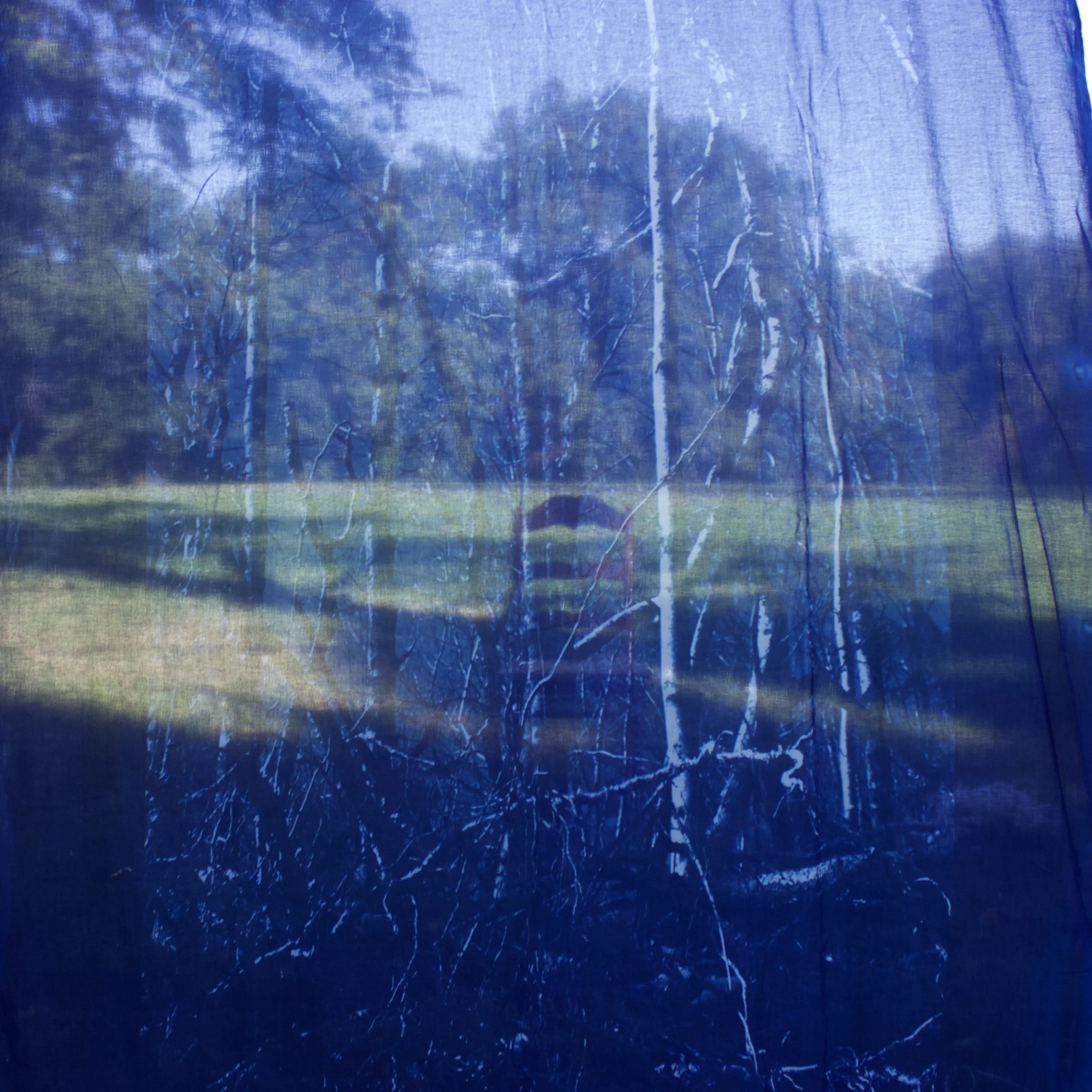 Veil (closeup)