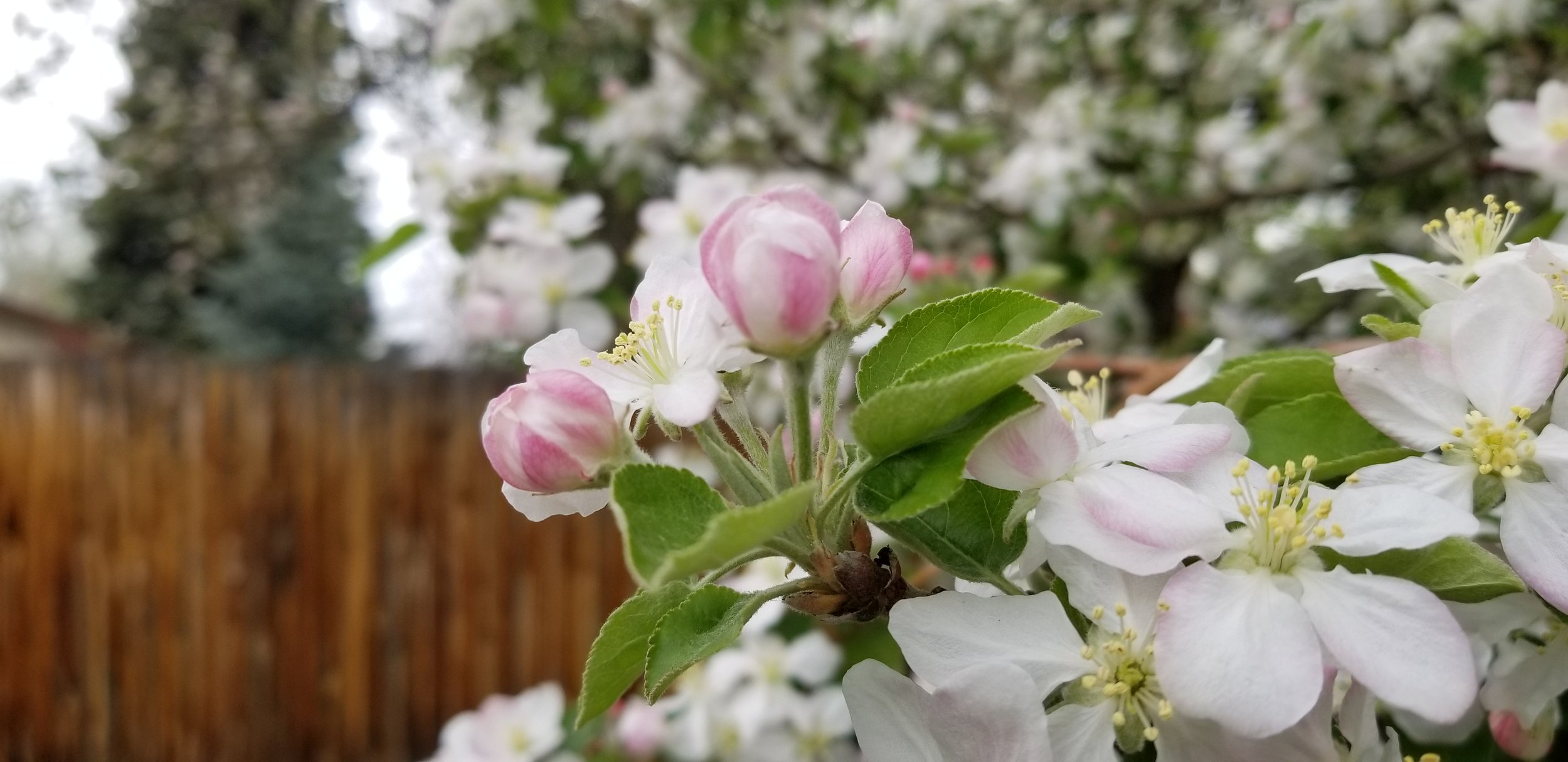 20180501_163530.jpg