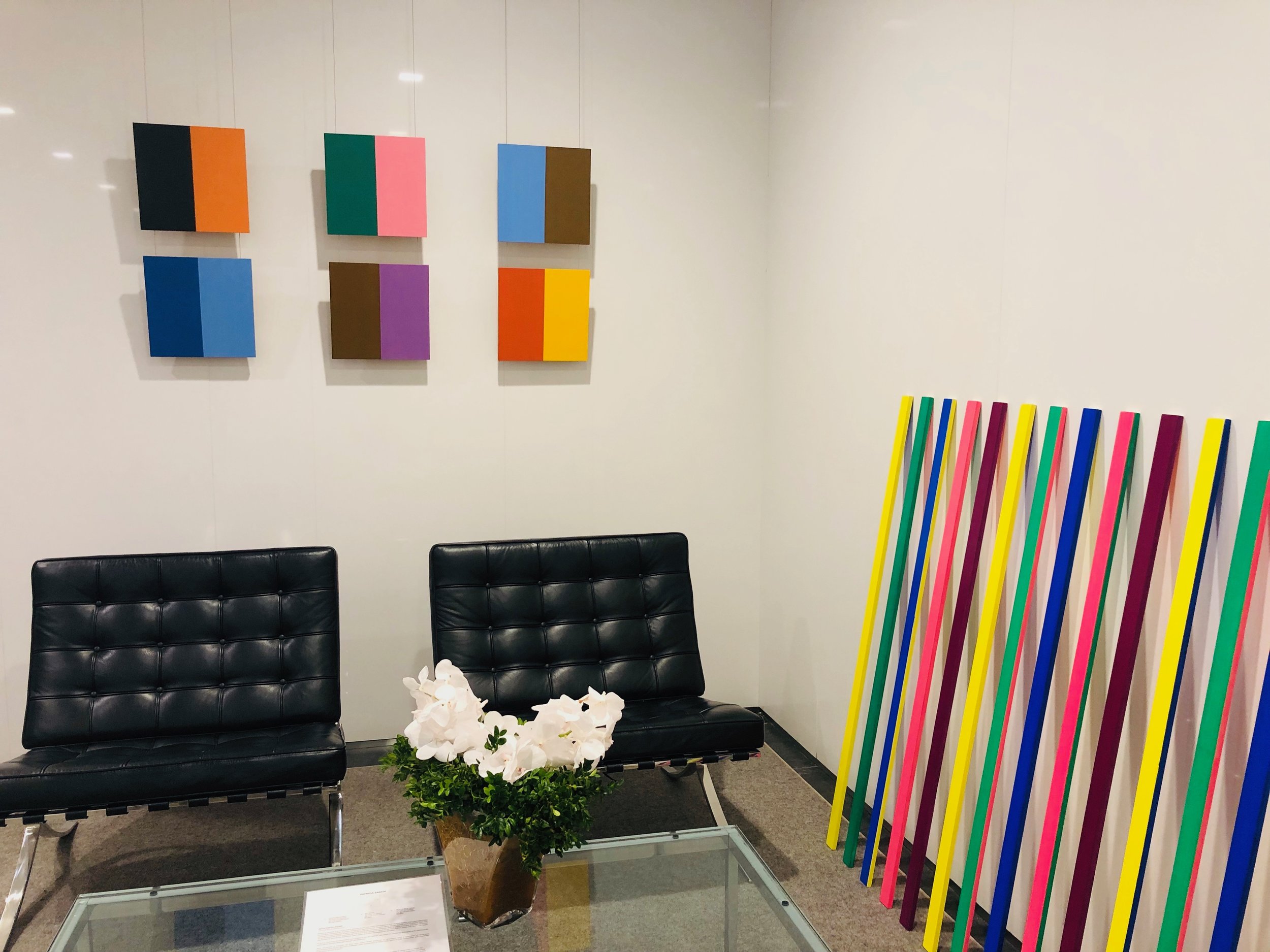 Installation View: Patricia Zarate