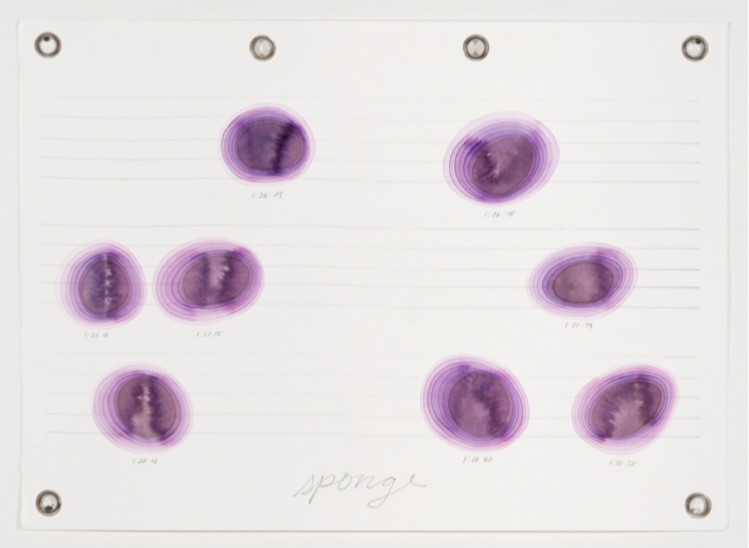 Score for Two Dinosaurs_ Sponge, 2014, watercolor and graphite on paper with metal grommets, 22 x 30 inches .png