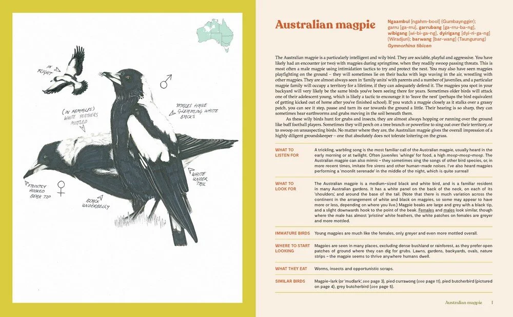 100 aust. birds 5.jpeg