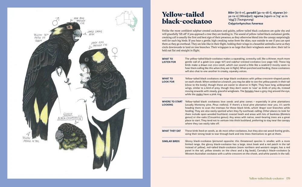 100 aust. birds 3.jpeg