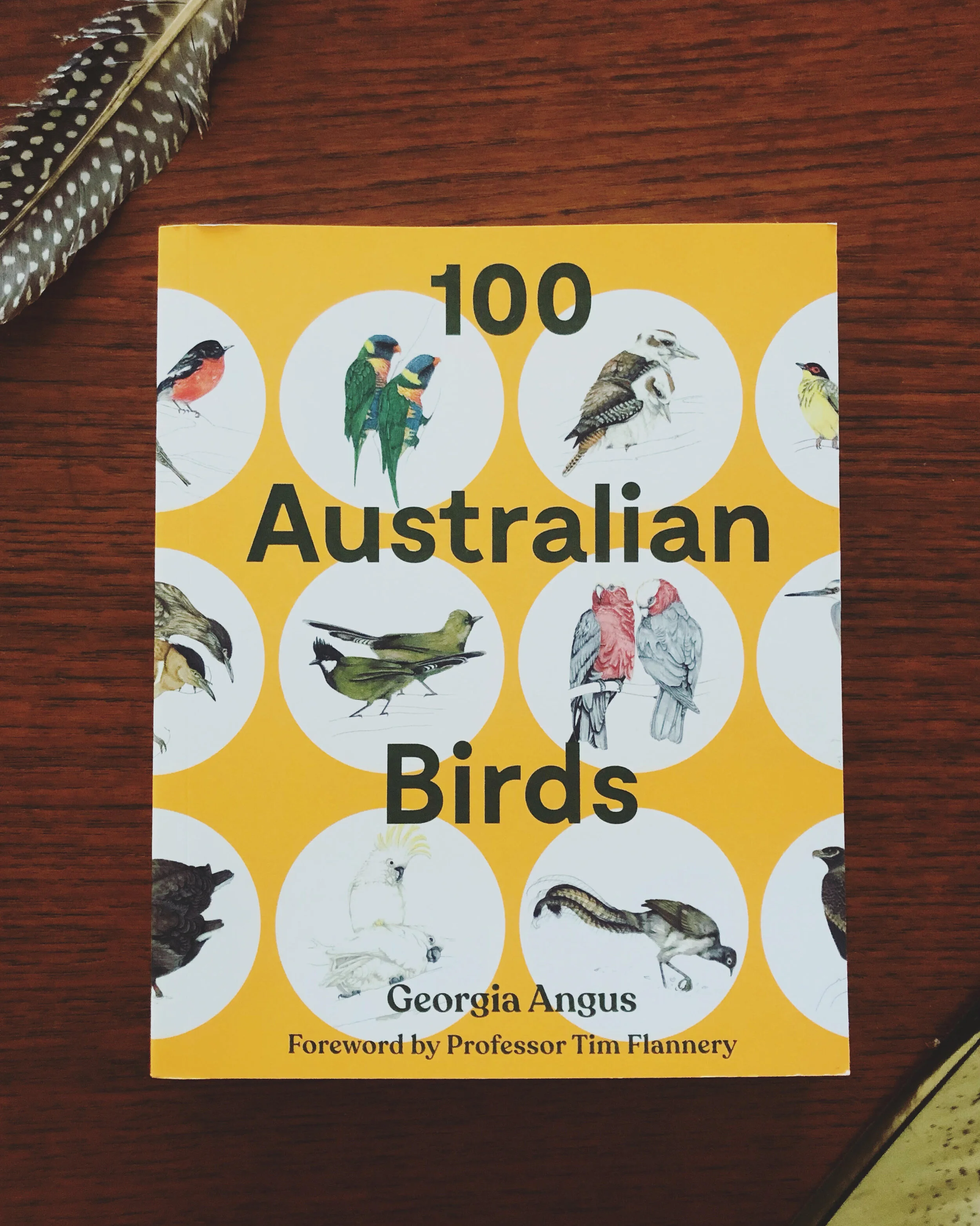 100 aust. birds cover.jpeg