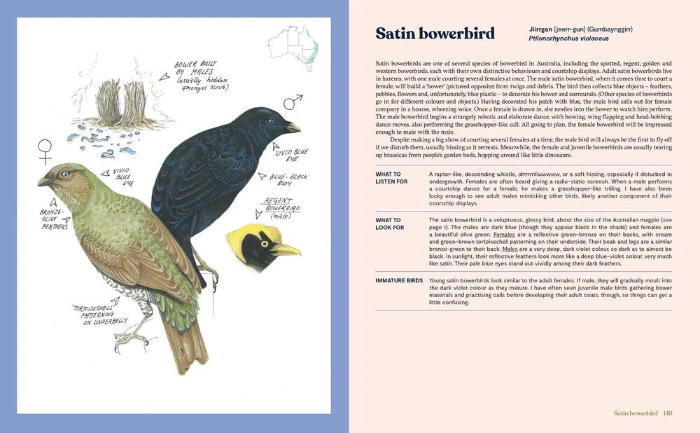 100 aust. birds 1.jpeg