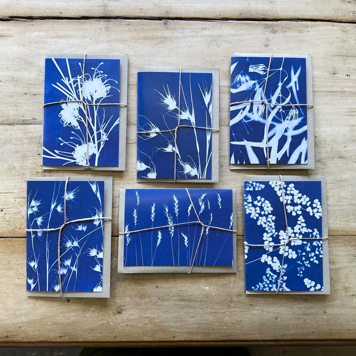 A lovely collection of printed cyanotype cards, created by our local cyanotype artist @pennyjgray 💙 Penny just dropped them into the shop today, and we 😍 them!

Write a message in one to someone special, or bundle up a few as a gift 🥰 Pop into the