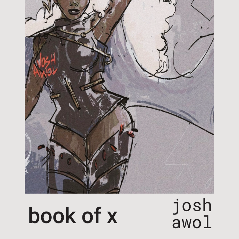 bookofx-cover_1.png