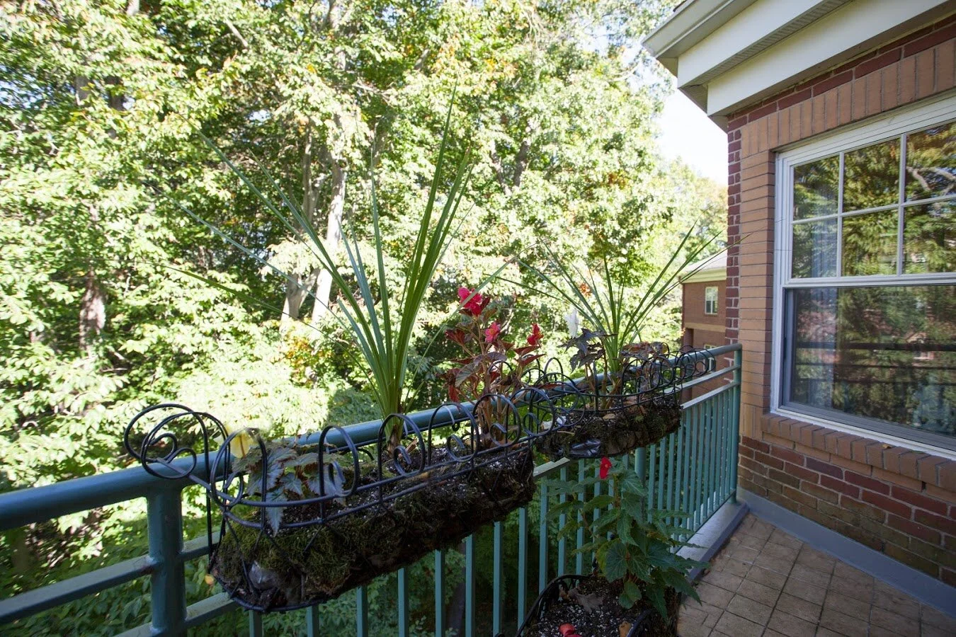 Gallery 2020 — Active Senior Living Providence, R.I.