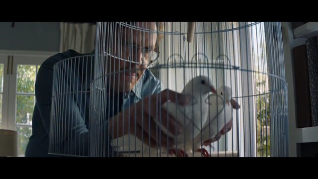 Xfinity "Doves"
