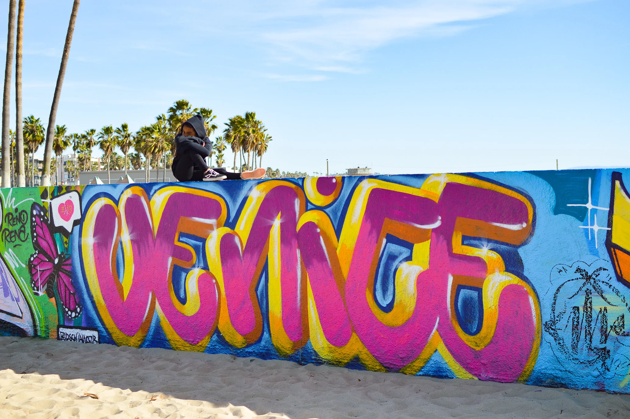 Day Trip Venice Beach-15.jpg