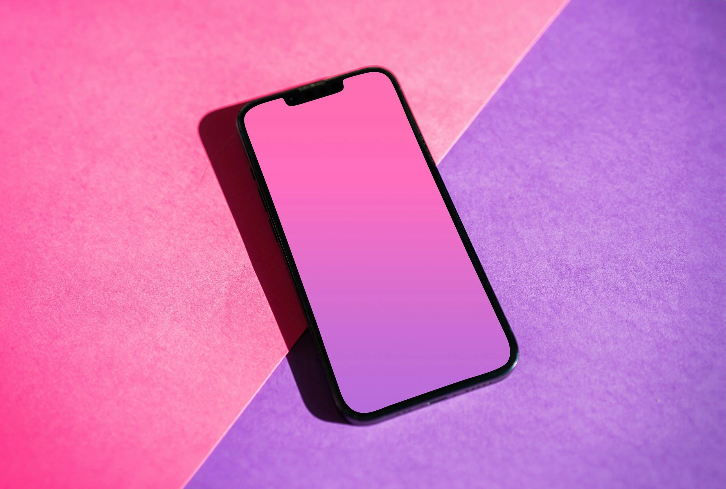 Vox Article on Phone-Free Events