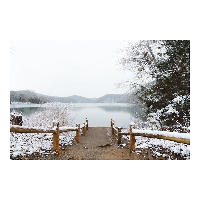 Breathe. Radnor Lake, Feb 2020.
.
.
.
.
.
.
#nashville #nashvilletn #madeintn #nashvilleexplorersclub #tennessee #radnorlake