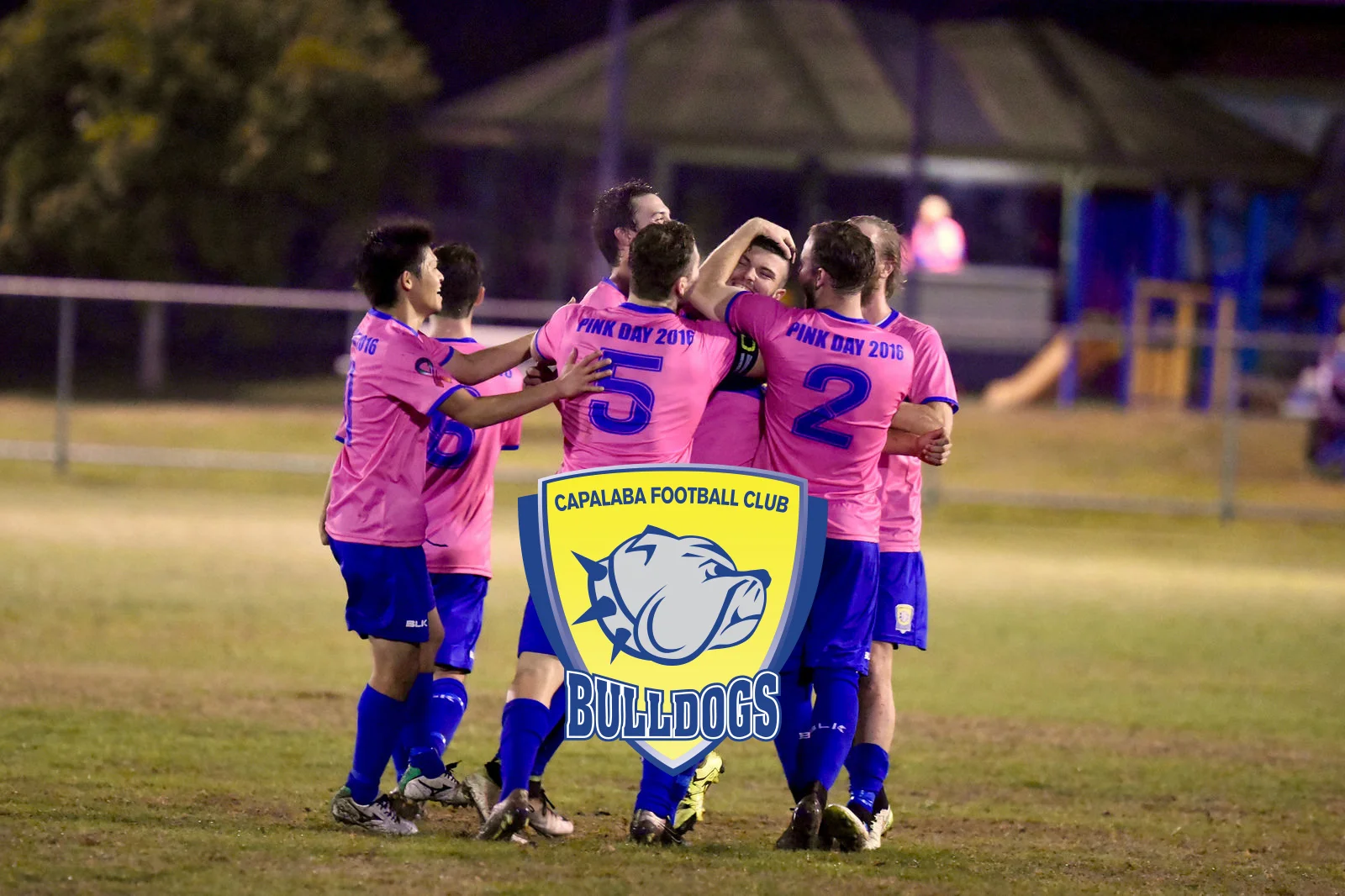Welcome to 2017 at Capalaba Bulldogs!