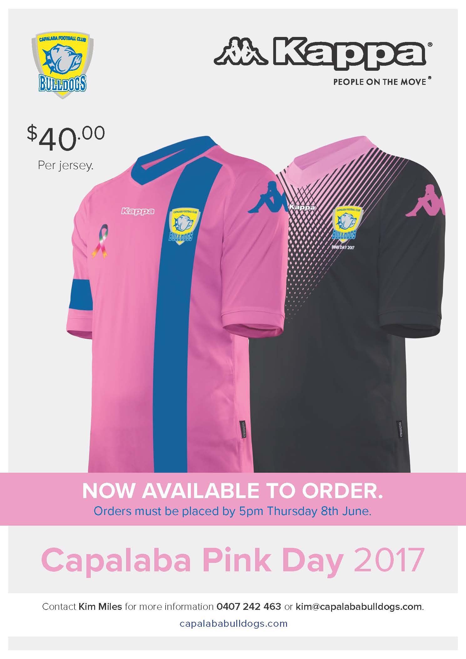 ORDER NOW! Pink Day Shirt 2017