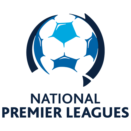 NPL 520x520 dec 2017 PS4 Logo.png