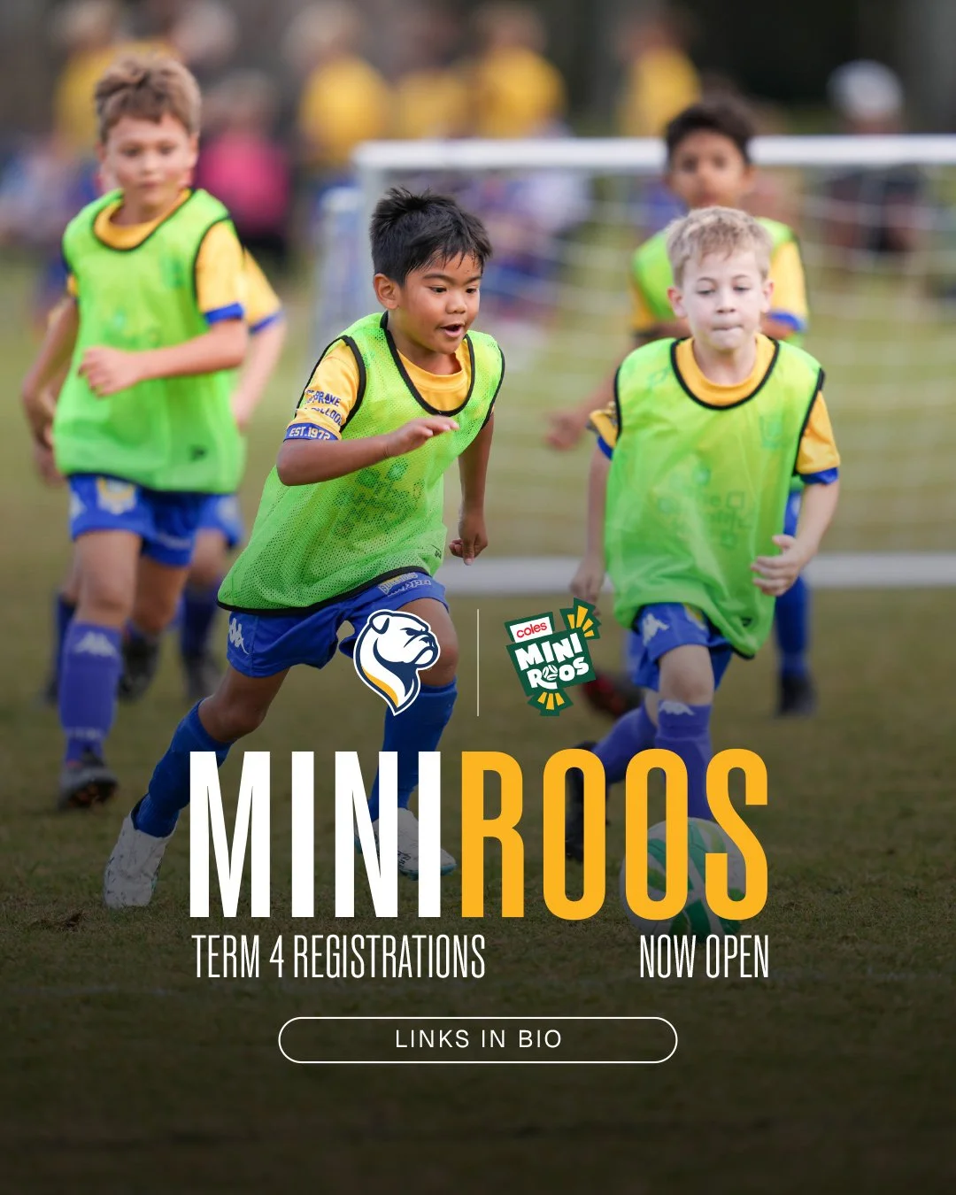 Miniroos term 4 / registrations now open