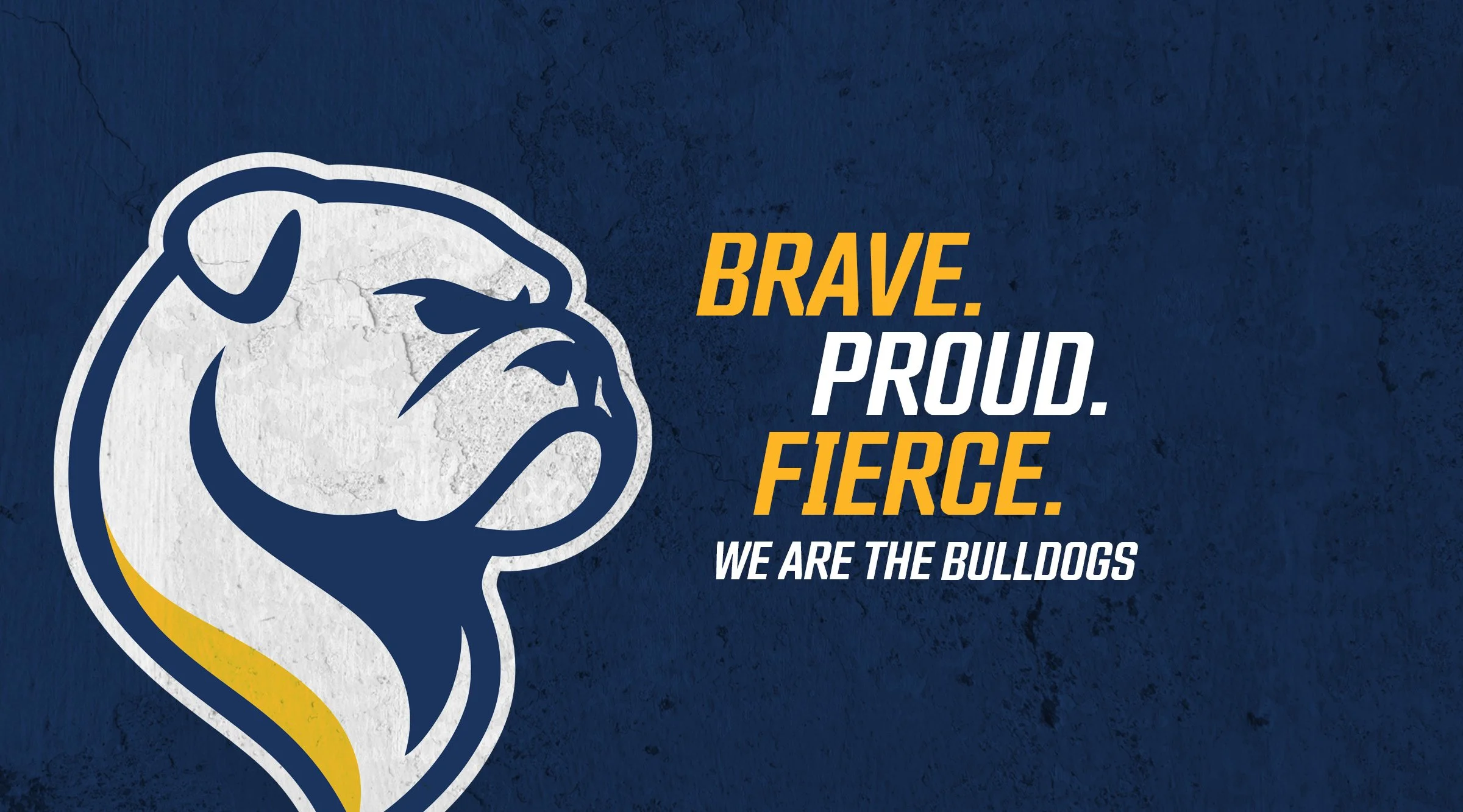 CFC-Web-Banner-2025.jpg