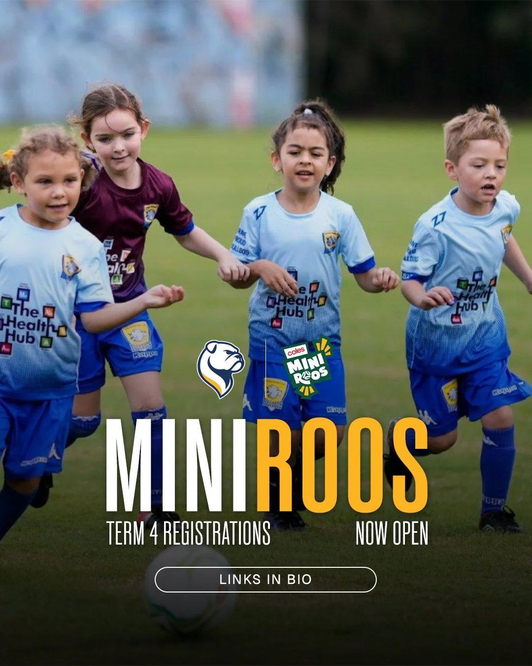 Miniroos term 4 / registrations now open