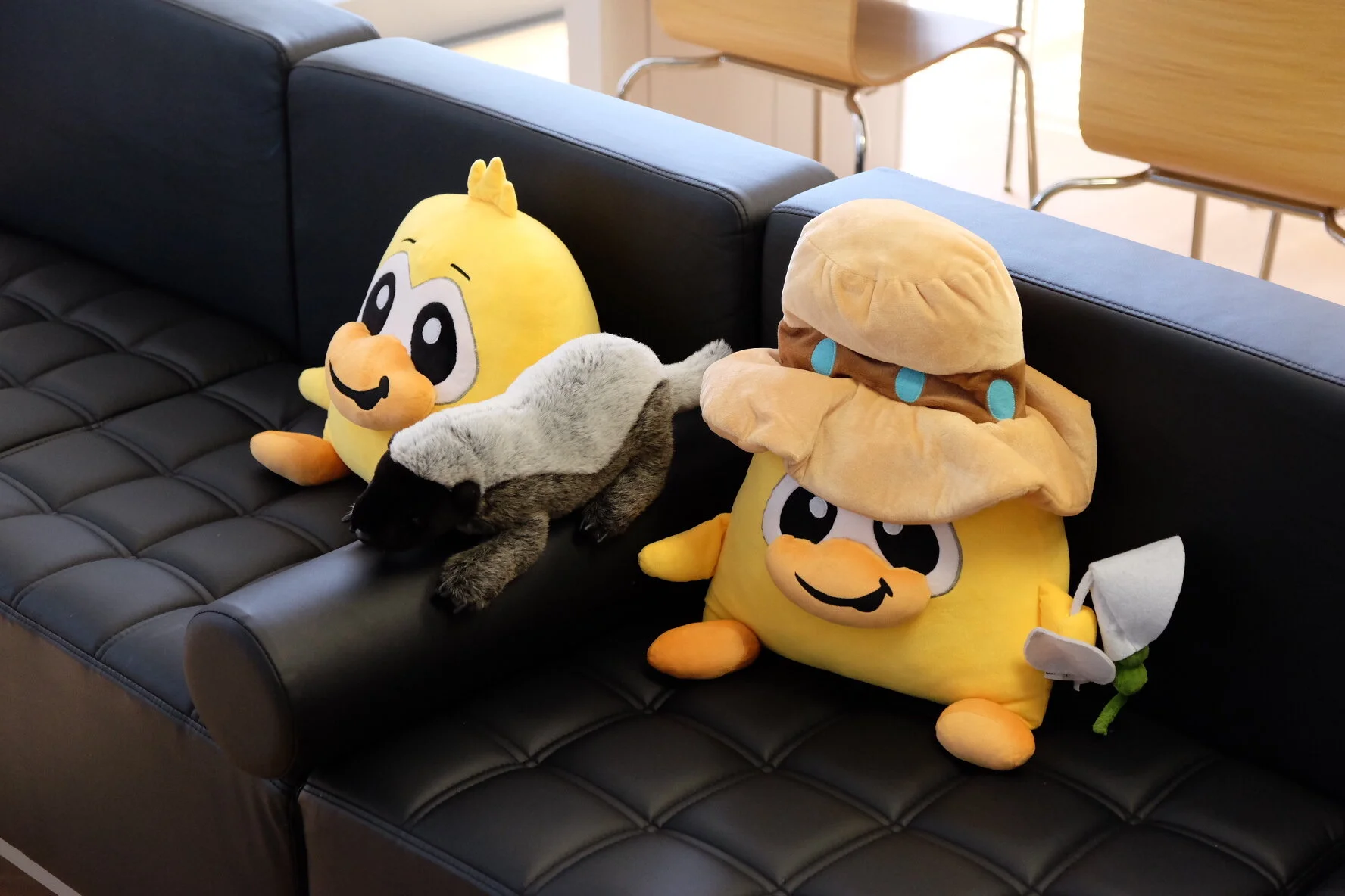 TABITHA, SKUNK, &amp; JORDAN  — Mascots  Over the past seven years, company mascots Tabitha the Hat-wearer and Jordan the Hatless have identified countless mobile game solutions, best practices, and innovations. This talented duo has proven success leveraging character branding to create world-class, immersive gameplay experiences for players of all ages and walks of life. With expertise in design, production, visual development, engineering, product management, and quality assurance, Tabitha and Jordan seek to lead PeopleFun for years to come. Also, there is a skunk in this photo.