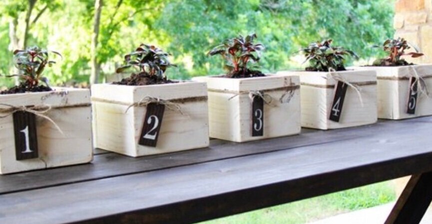 CraftPlant2Web.jpg