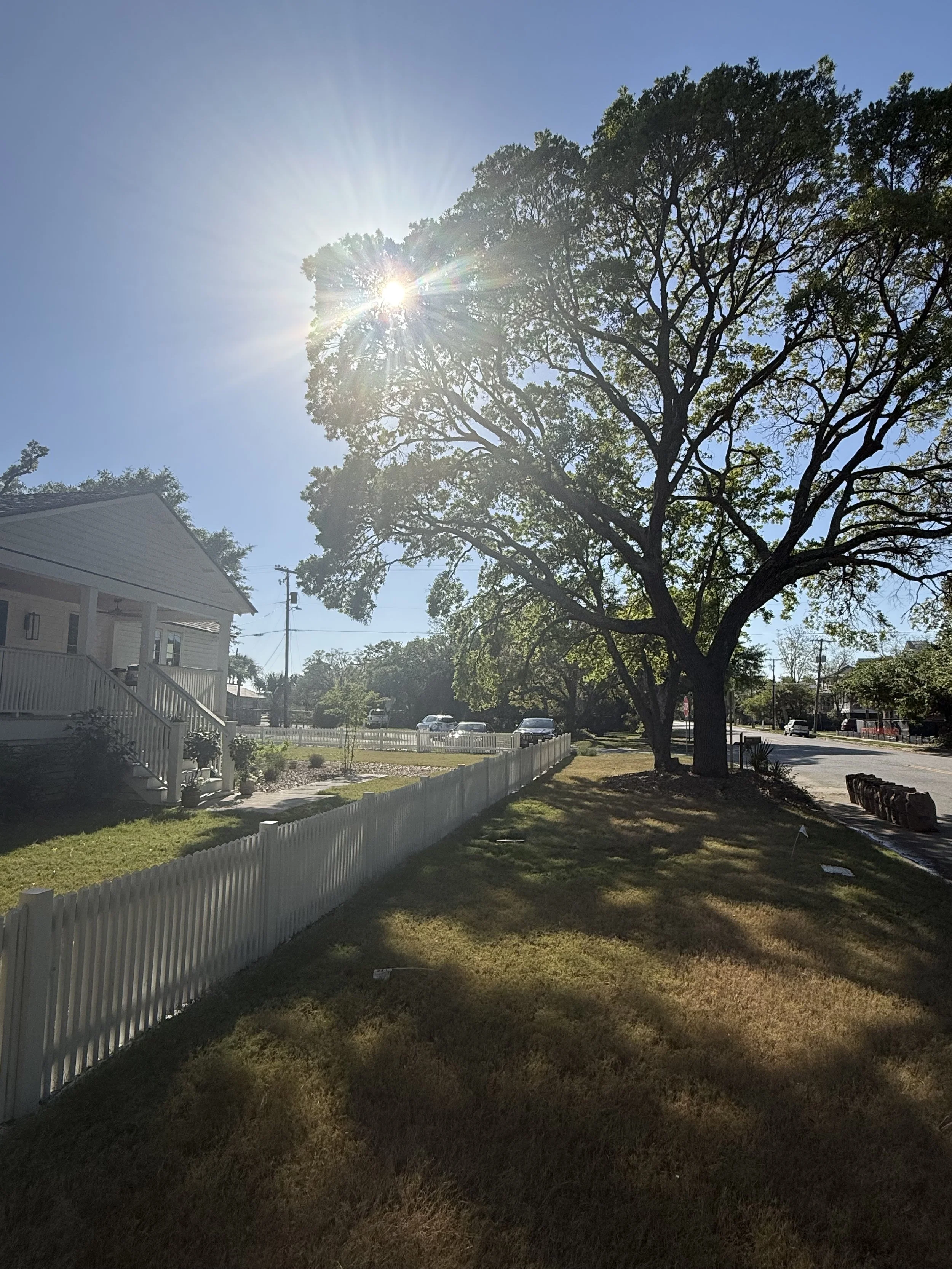 front yard.jpg