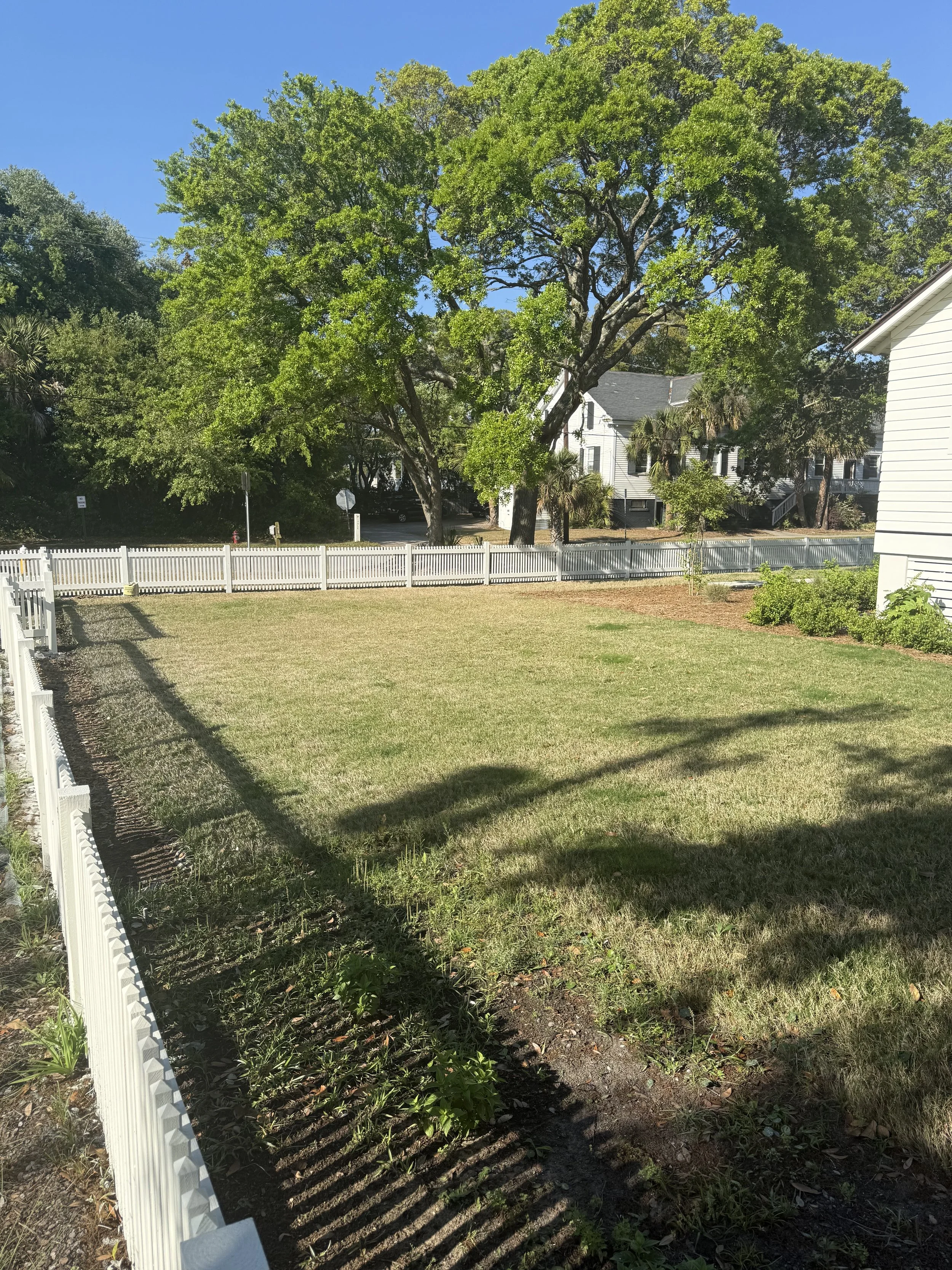 side yard.jpg