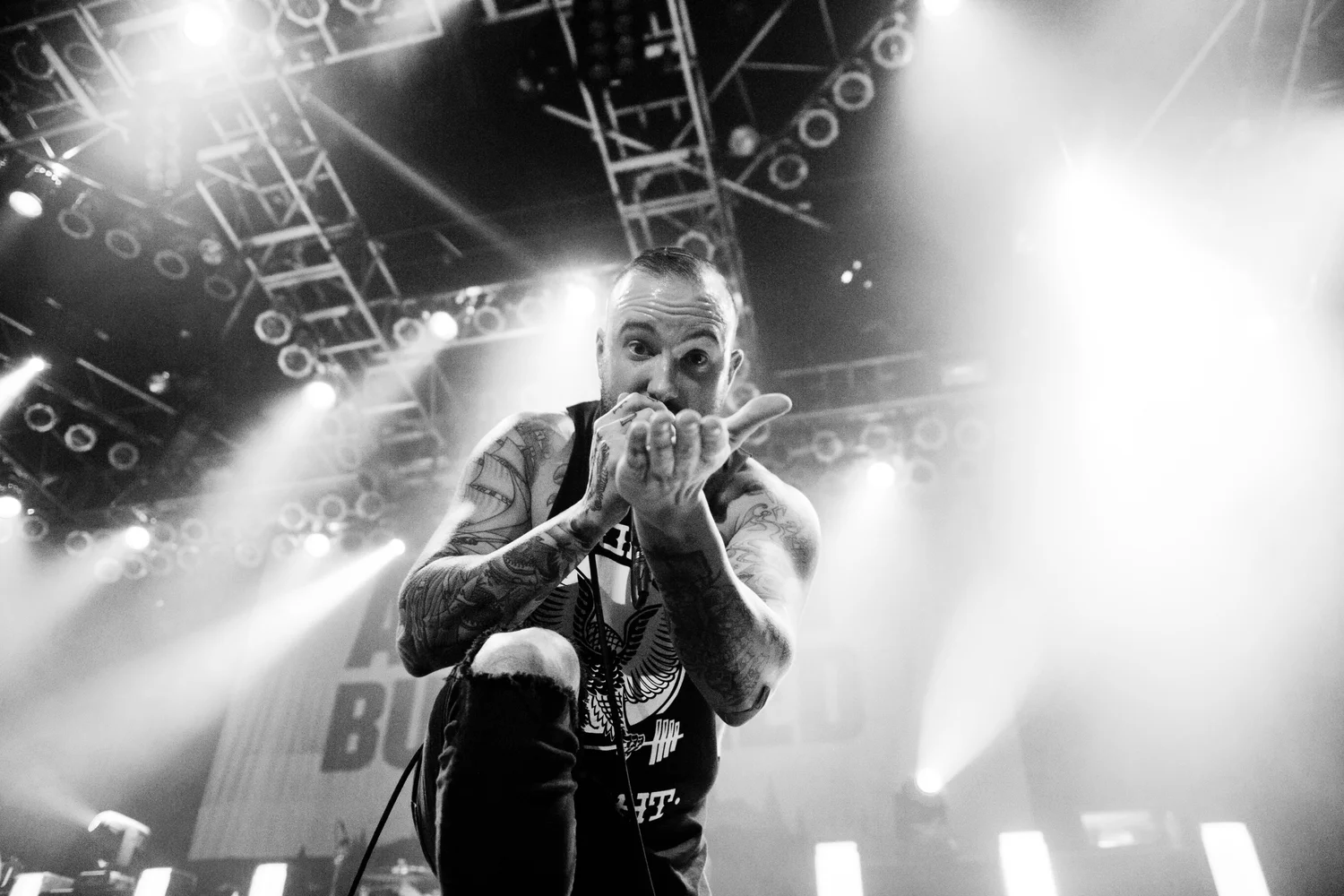 AUGUST BURNS RED