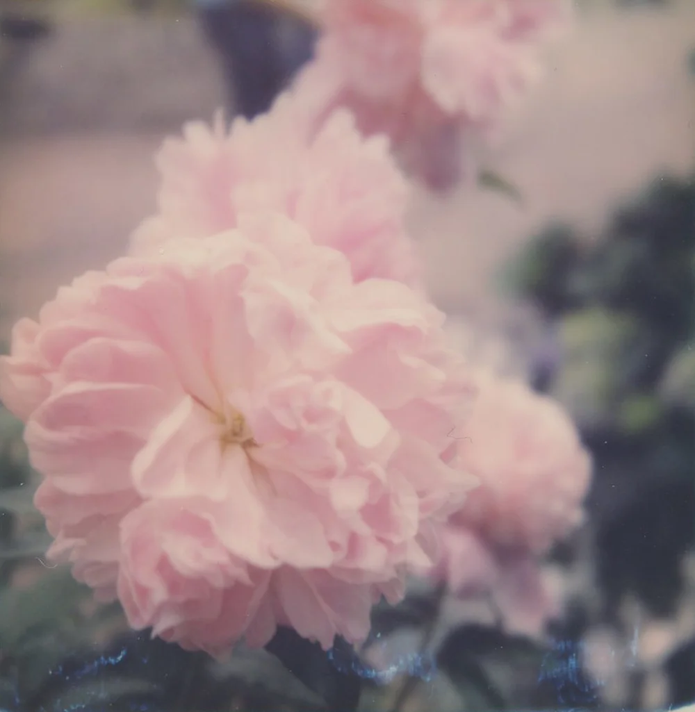10_Polaroid_AzureeWiitala.jpg