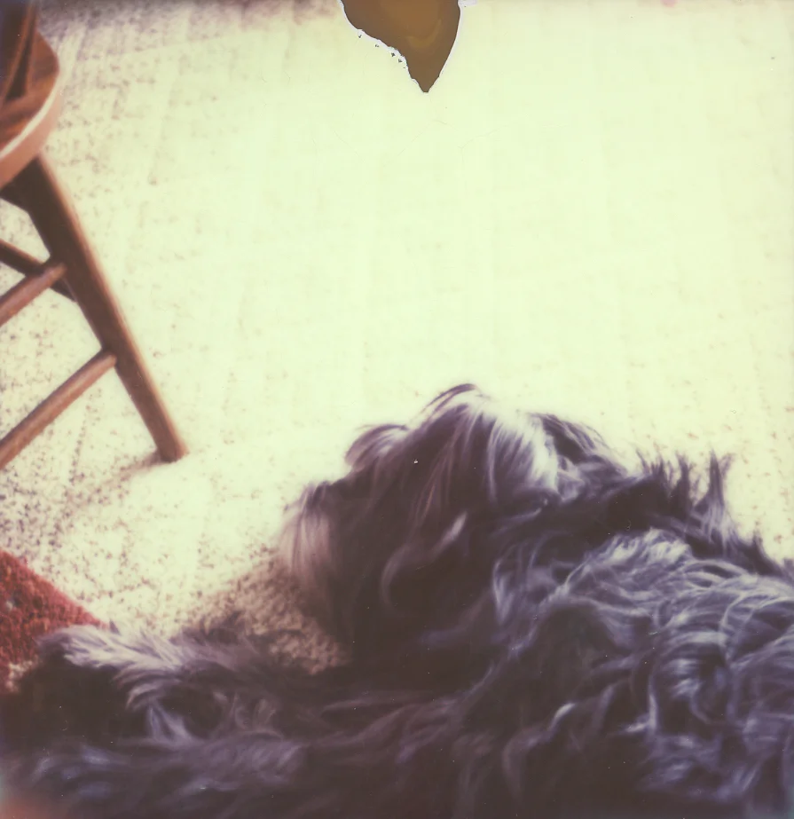16_Polaroid_AzureeWiitala.jpg