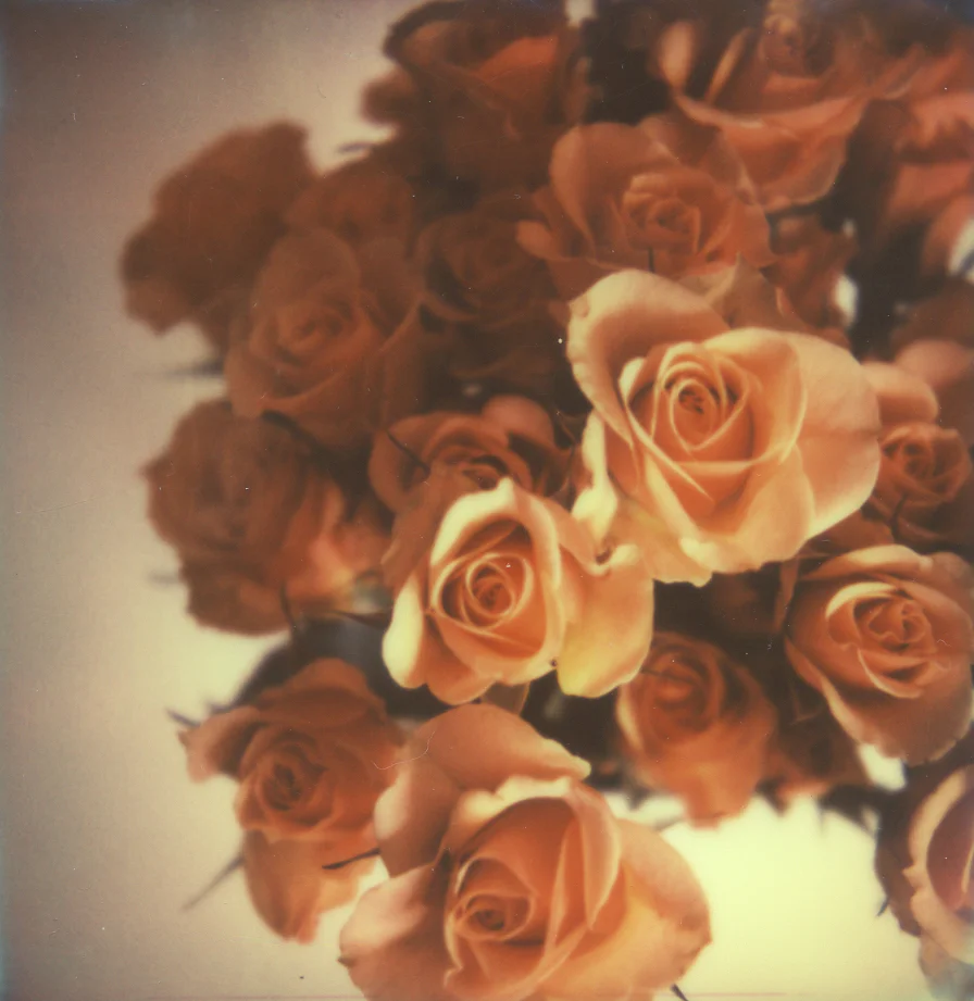 18_Polaroid_AzureeWiitala.jpg