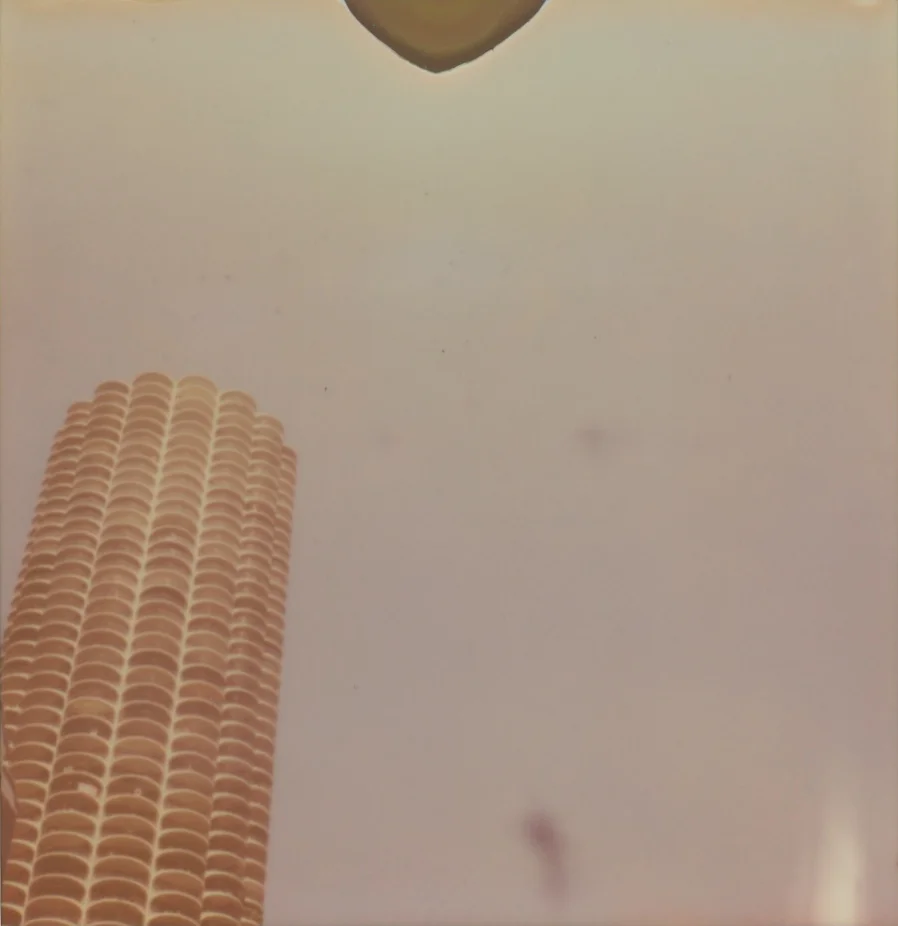 27_Polaroid_AzureeWiitala.jpg