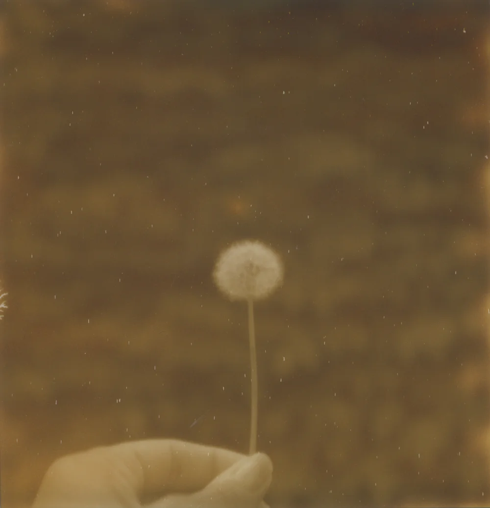 38_Polaroid_AzureeWiitala.jpg