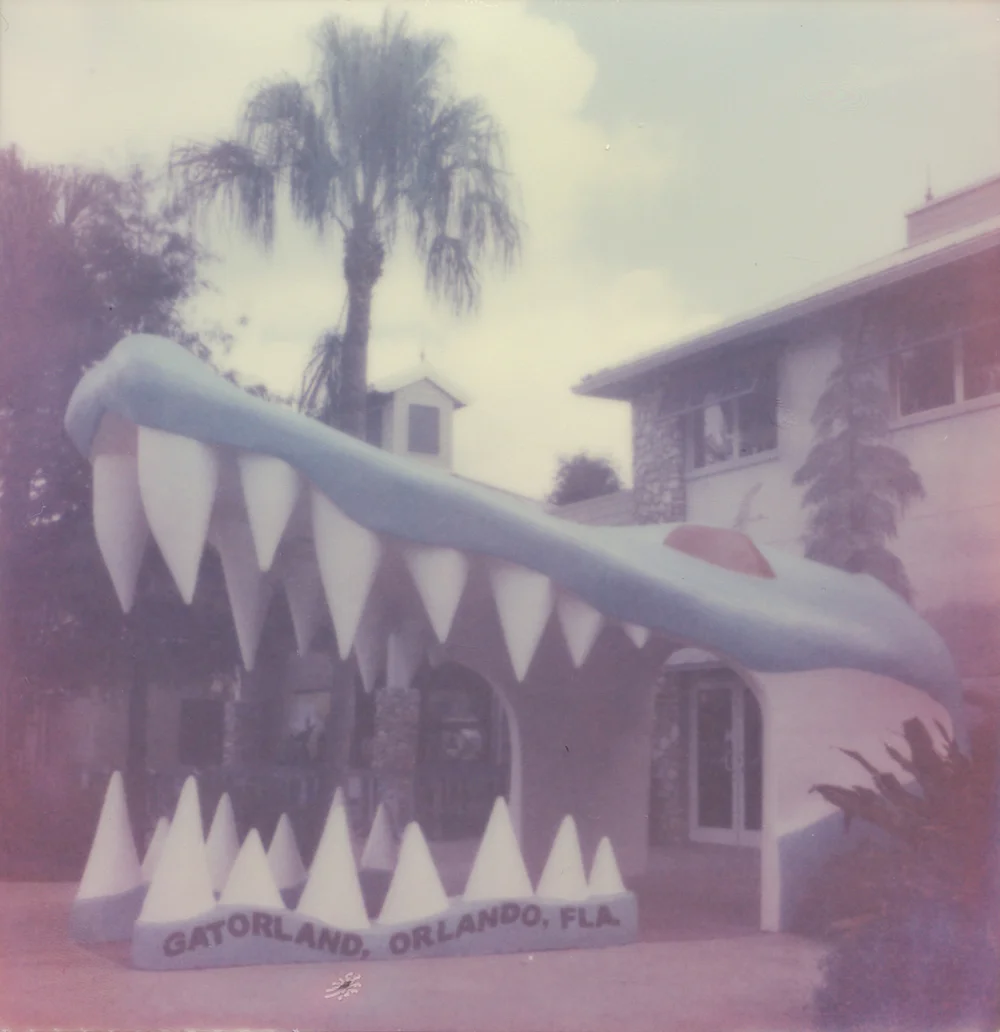 19_Travel_Polaroid_AzureeWiitala.jpg