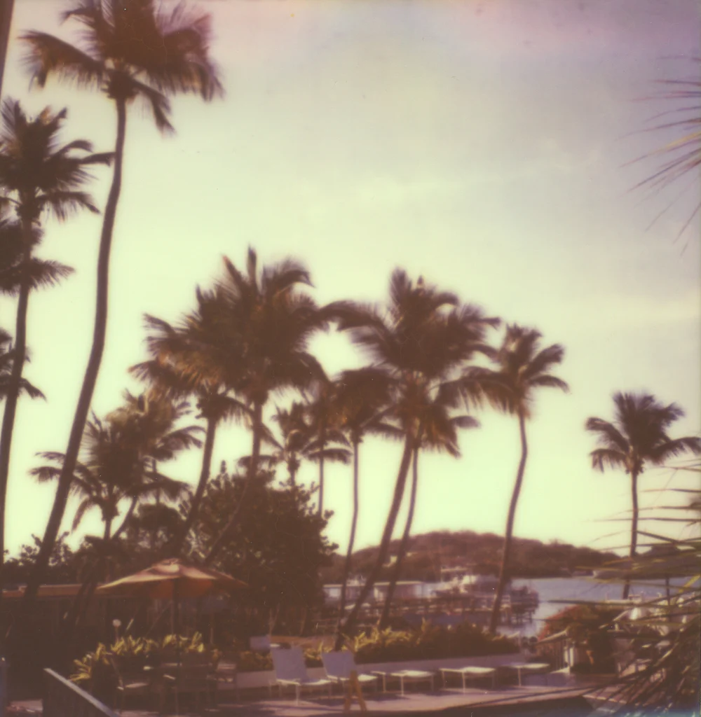 59_Travel_Polaroid_AzureeWiitala.jpg