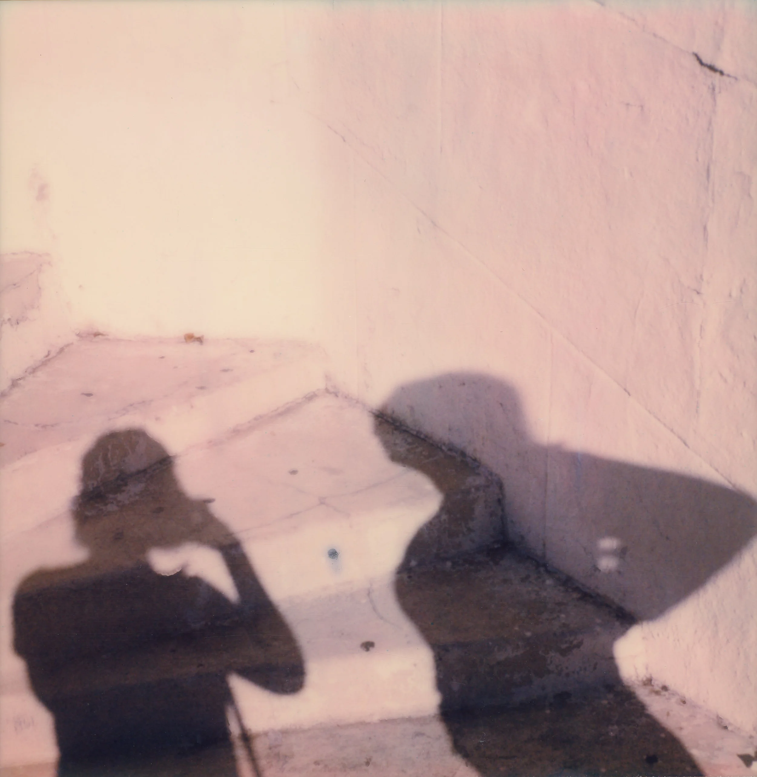 2017_NOV_LA011.jpg