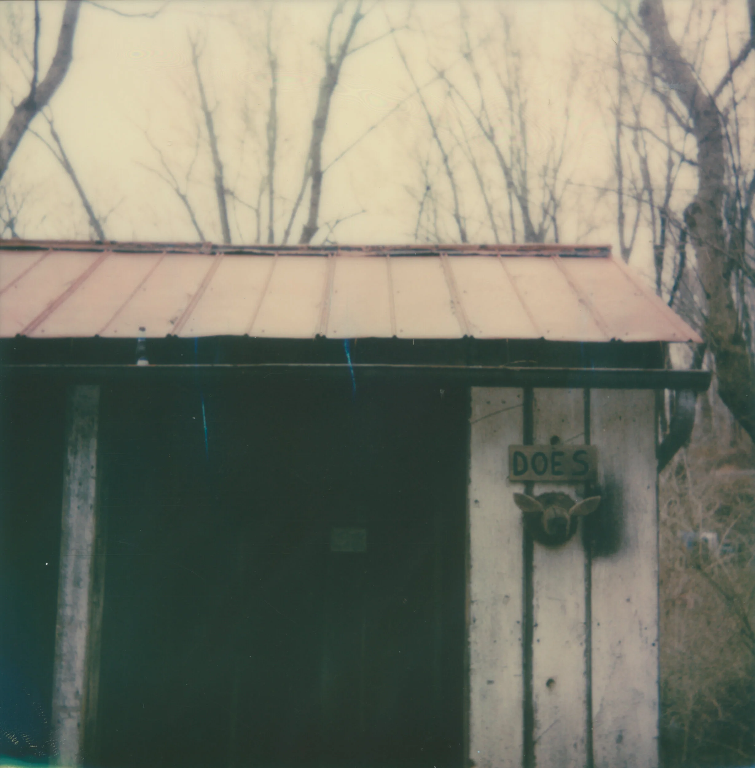 2019_March_Kentucky021.jpg