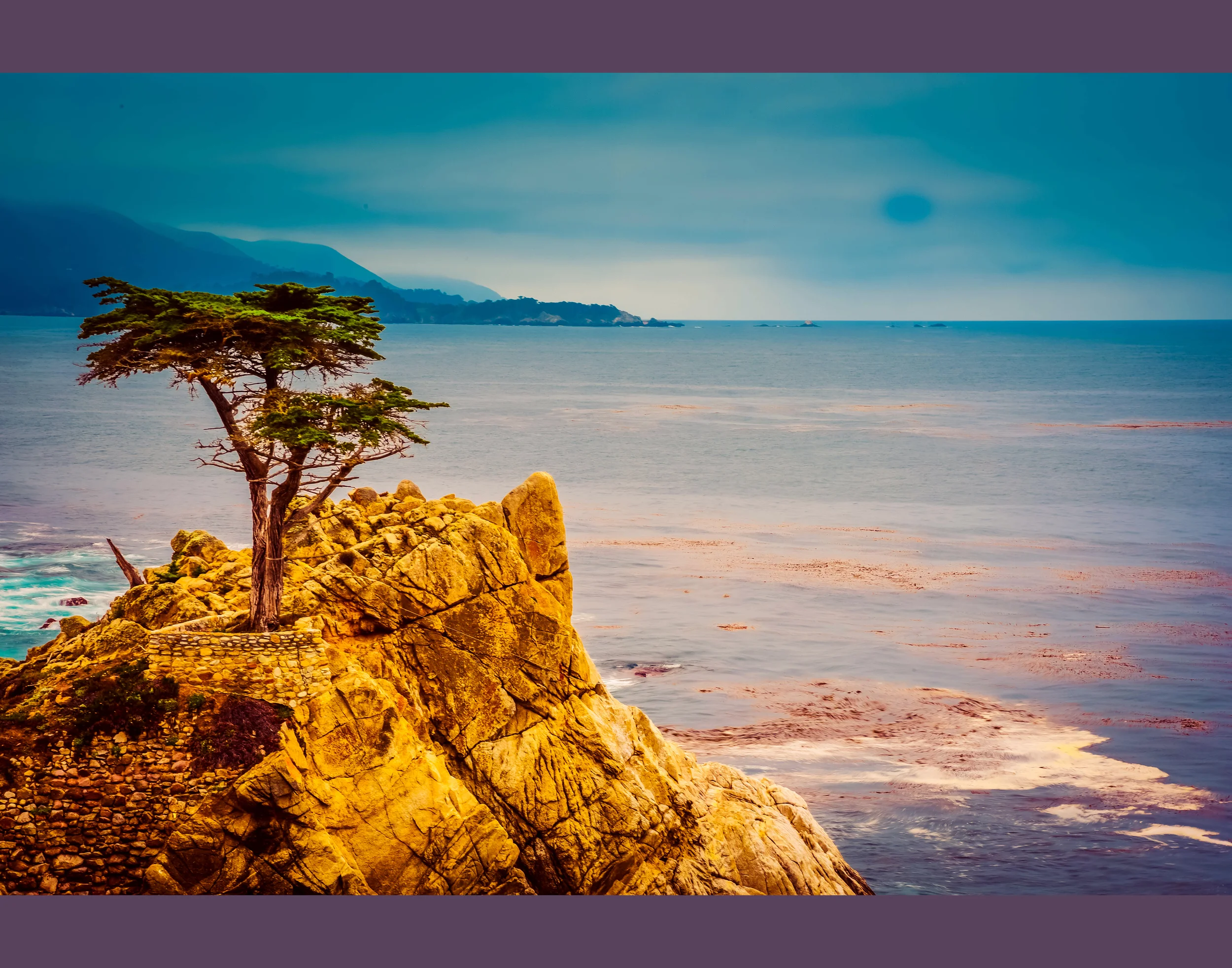 Final Turn in of Lone Cypress Tree .jpg