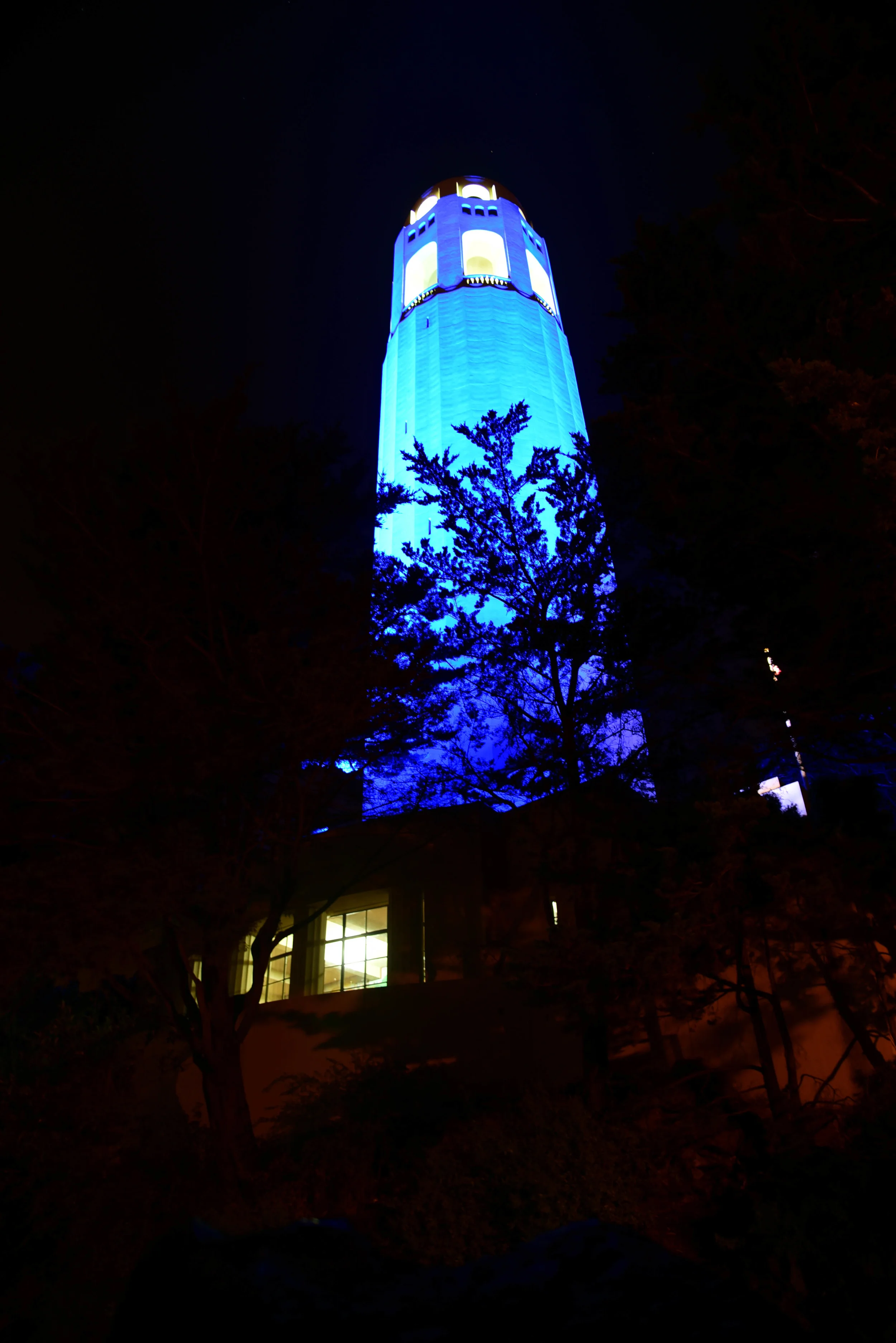 DSC_0055.jpg