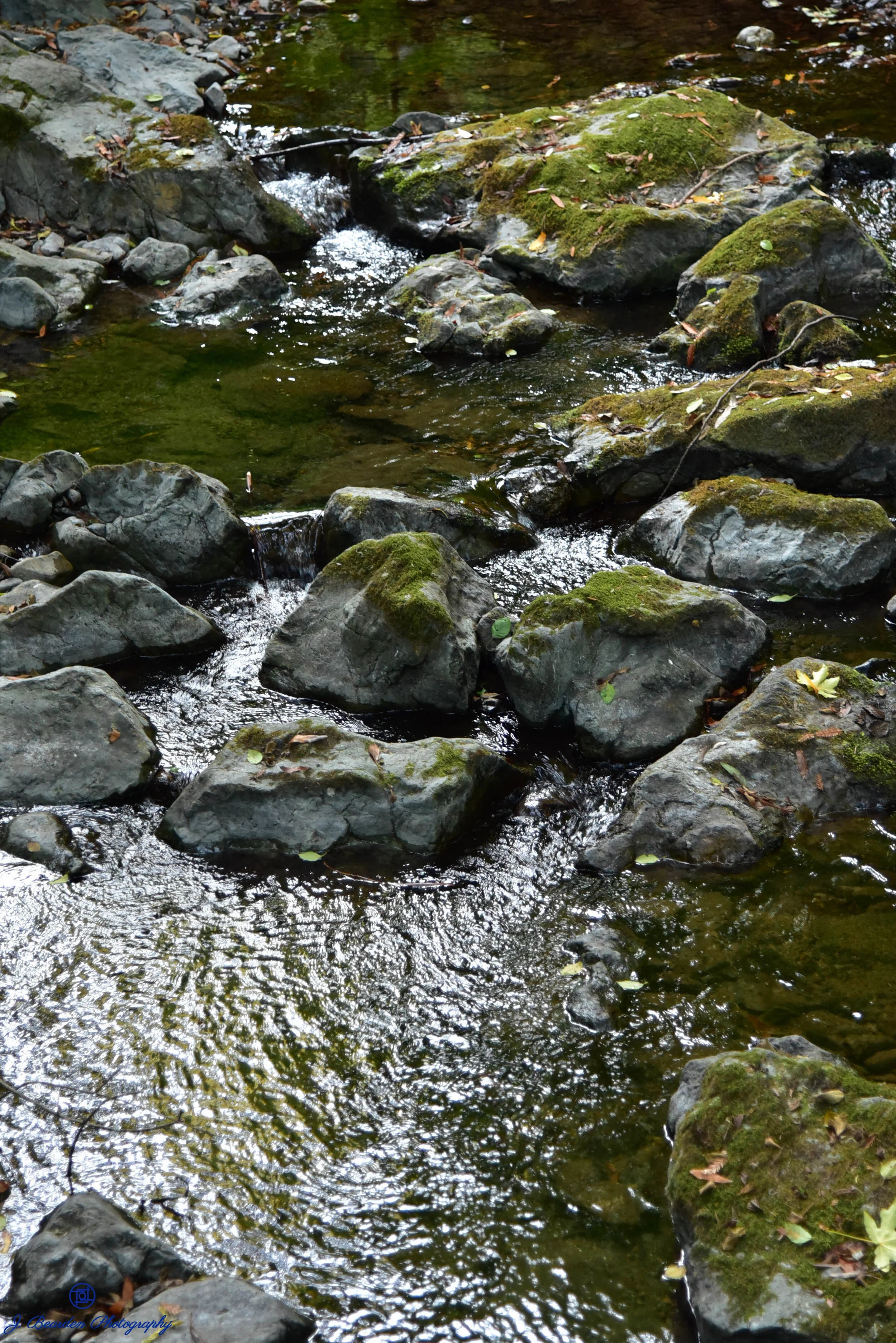 DSC_2280.jpg