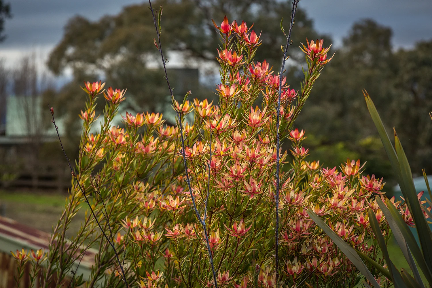 2016 07 Cath-104.jpg