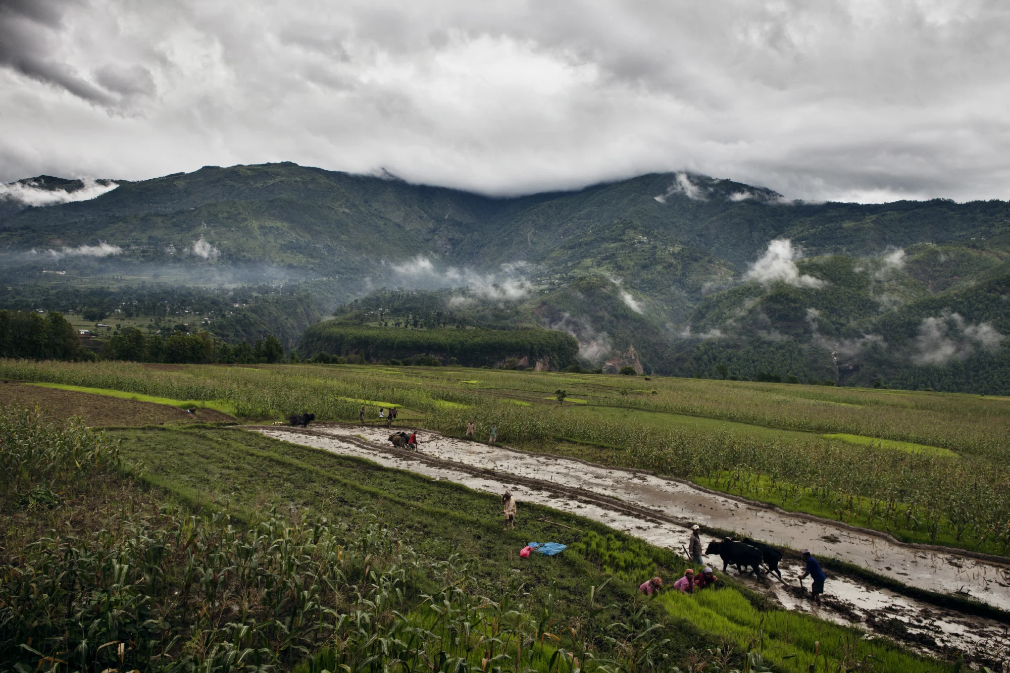 Narayansthan_June 2011_11107.JPG