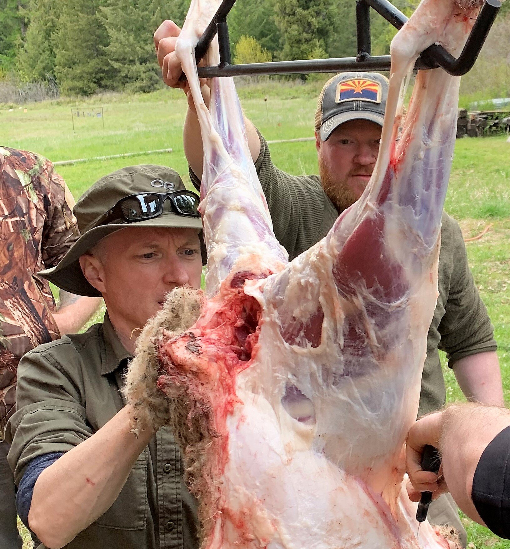 how to skin a deer elk lamb goat