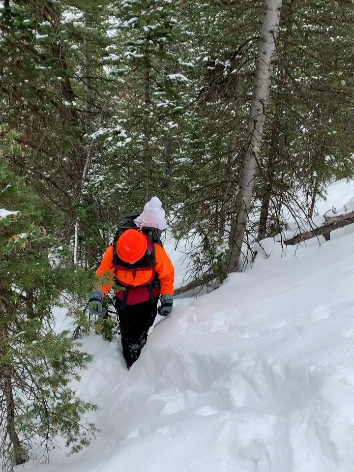 Excerpt from our recent newsletter. Access the archive and/or sign up via our contact page (linked in bio). 

On Being a Hunter
By Sarah McGlenn

While attending hospital births as a midwife, I had heard more than one woman say, &ldquo;I want to go h