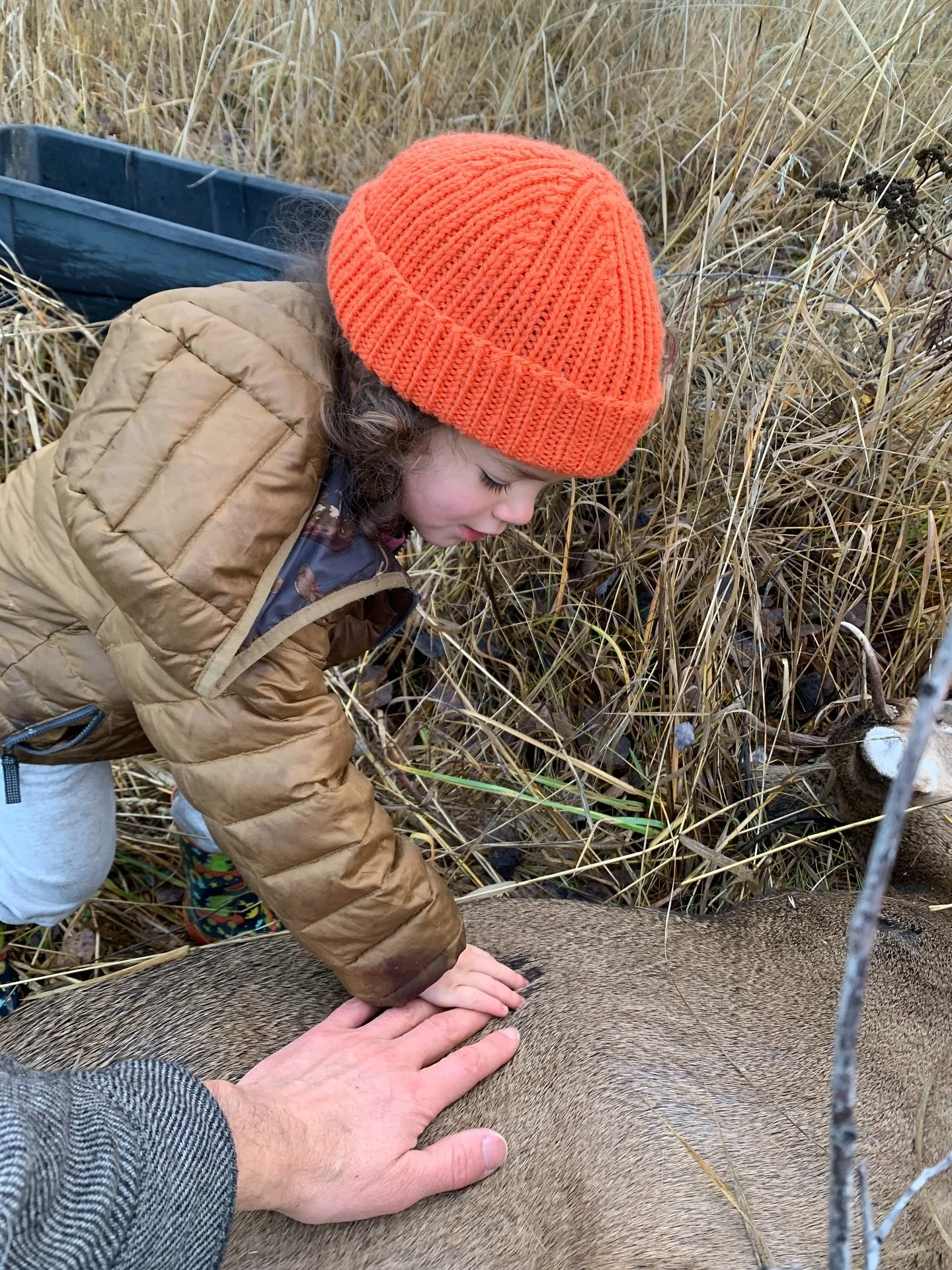 Three generations at hunting camp. It&rsquo;s been fascination to watch a young mind experience the process of where meat comes from when exposed from day one - as opposed to say being influenced by the likes of Disney. As I was heading out to hunt o