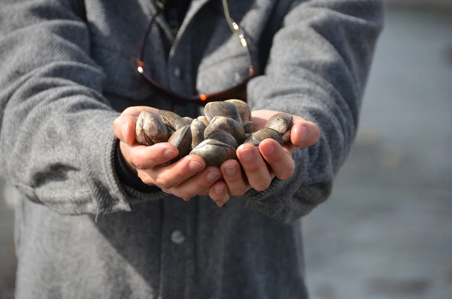 Give the Gift of Experience

Our one-day shellfishing courses (April 4 or 5 Hood Canal) are now open for registration and make a great gift for anyone who likes wading around in tidepools, digging through sand to find clams, learning to shuck oysters