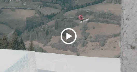 CLEMENS MILLAUER - two days , 2 parks 