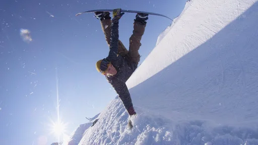 Odd Folks 🤔 // bäCARDIES