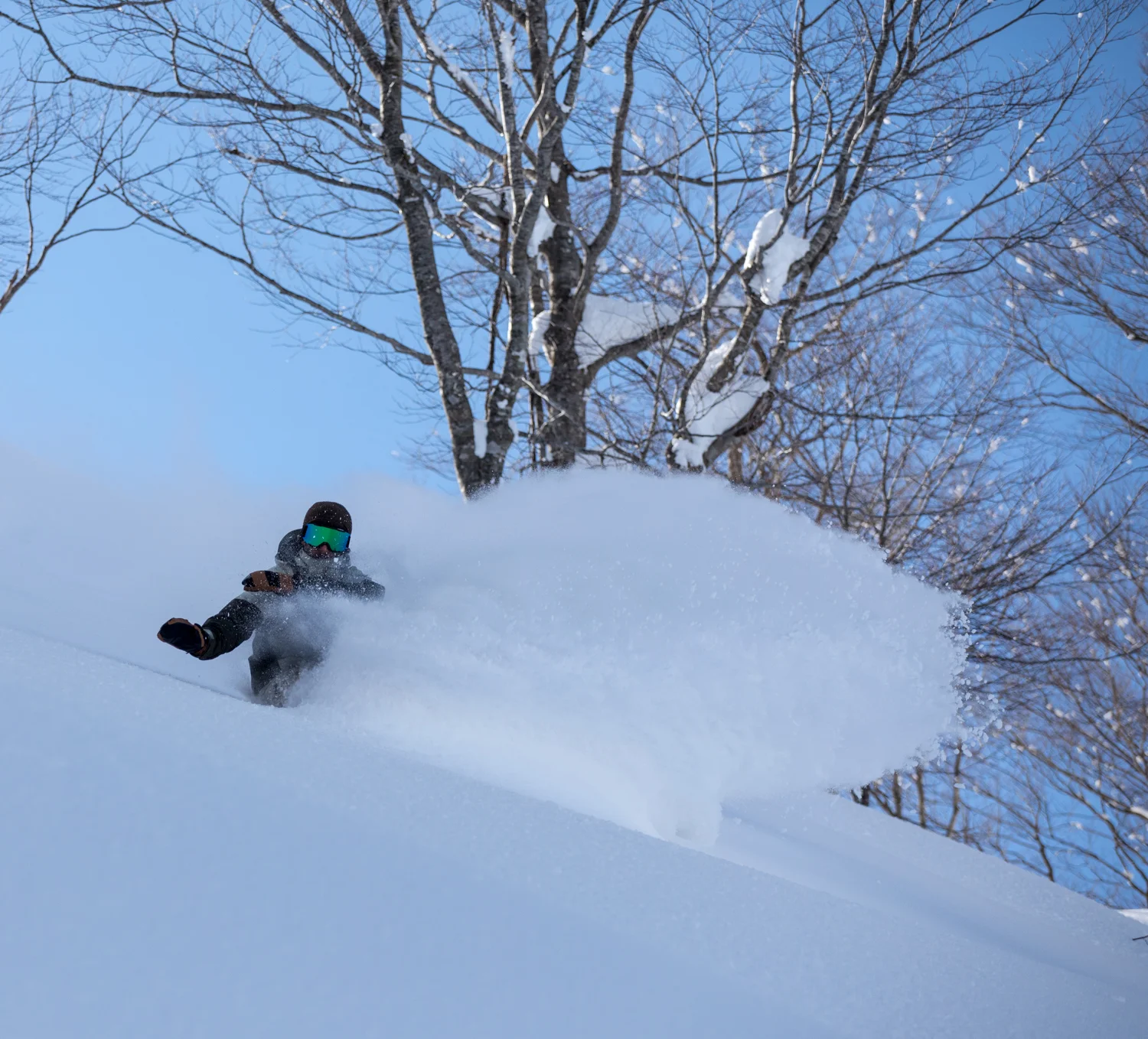 fyvecamp_hakuba_cortina_Dk-3880.jpg