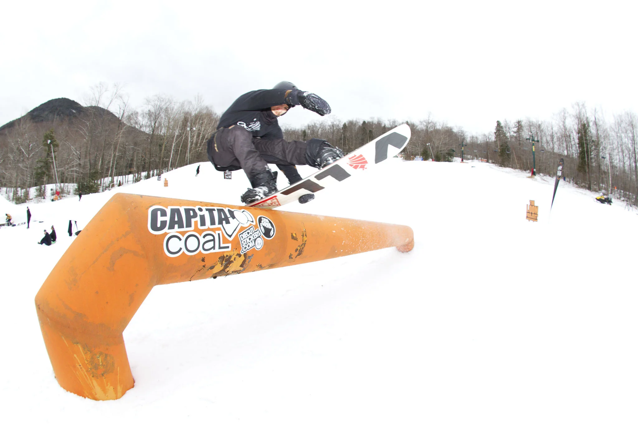 BMBW at The Bogus Project