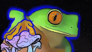 LSD - Love Snowboarding Dude 