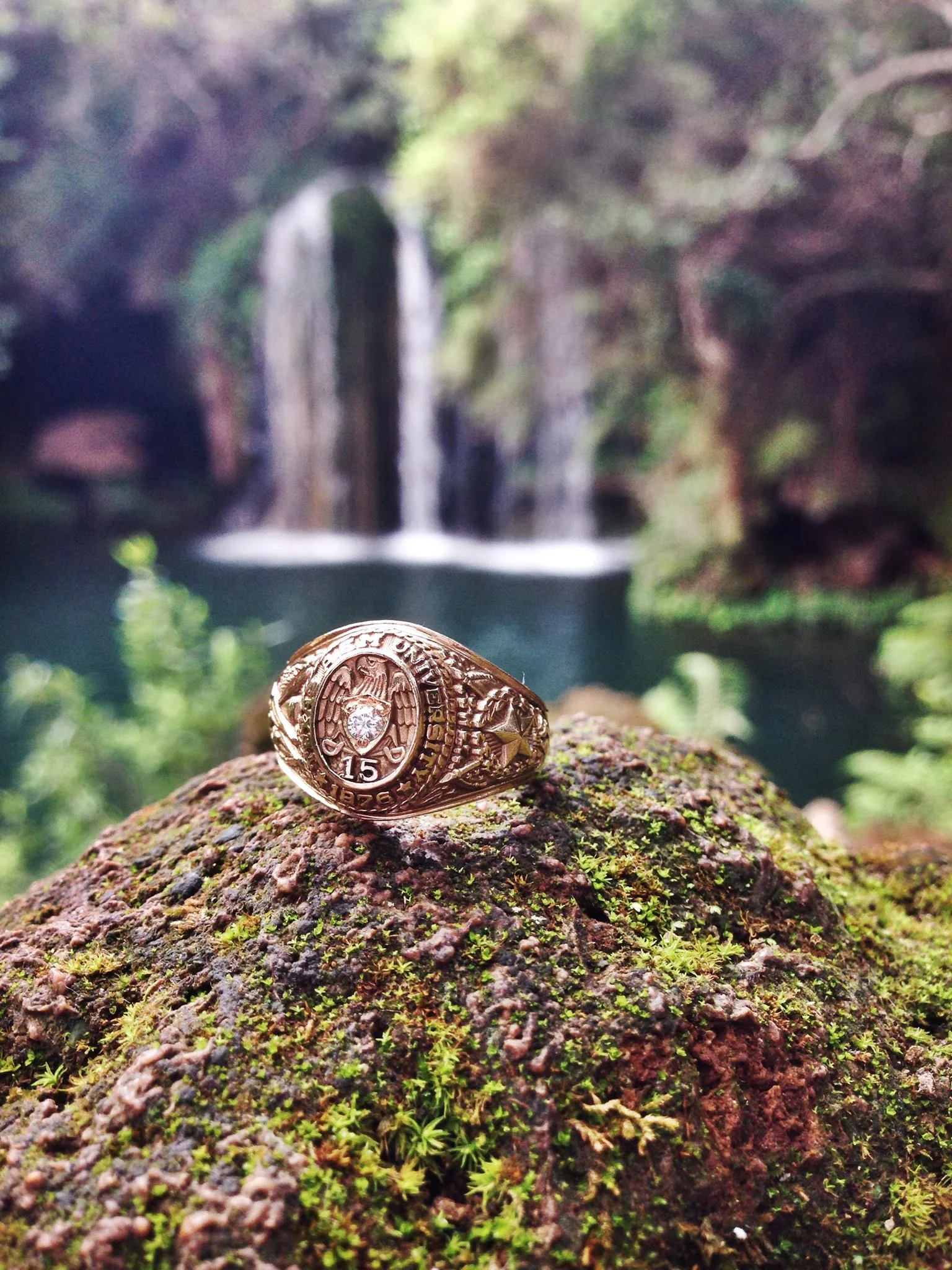 5 Reasons you NEED to Study Abroad